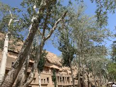 -敦煌石窟文物保护研究陈列中心