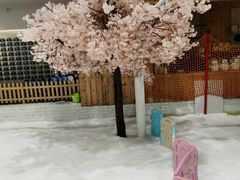 -Mr·Kuma酷么先生雪之乐园