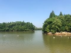 -艾溪湖湿地公园