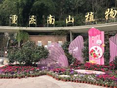 -南山植物园