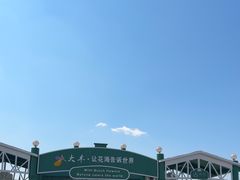-荷兰花海