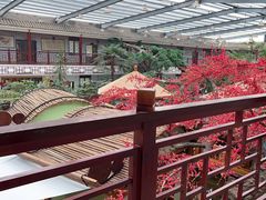 -老山东·山东菜(鲁菜名店)