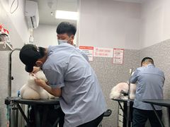 -宠物家(角门东店)