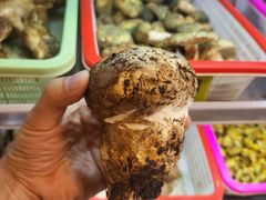 -菌海森林·非遗野生菌火锅(西山区滇池路摩根道店)