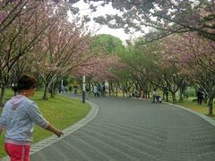 -苏州河梦清园环保主题公园