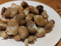-清真吴记门钉肉饼·喜多利
