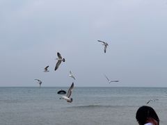 -那香海钻石沙滩浴场