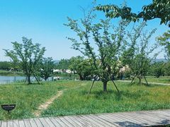 -良渚古城遗址公园