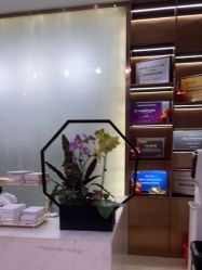 -杭州米兰柏羽医疗美容医院