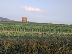 -光明小镇欢乐田园