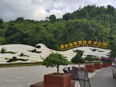 -西双版纳原始森林公园