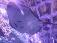 -秦皇岛新澳海底世界