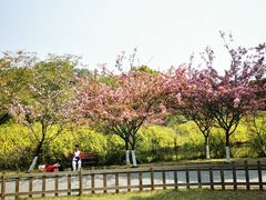 -成都南湖公园
