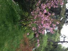 上海瑞金洲际酒店-上海瑞金洲际酒店