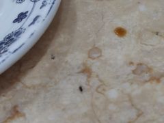 -晓林火锅(安定门店)