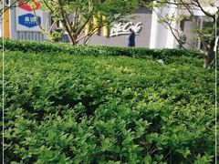 -麦当劳(凯德MALL太阳宫店)