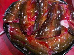 活杀鳝鱼-二荆条·蜀鲜汇城市森林火锅