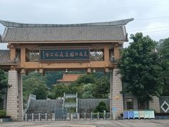 -南宁良凤江国家森林公园