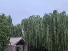 -甬妈妈湖畔里餐厅(唐山南湖旅游景区店)