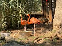 -昆明动物园