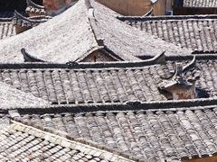 -杨家堂村