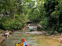 -广州白江湖森林公园