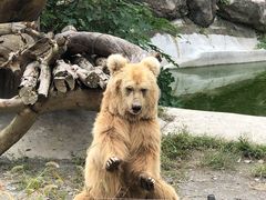 -宁波野生动物园