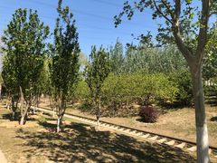 -永定河休闲森林公园