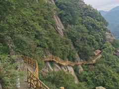 -陕西省红河谷森林公园