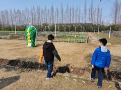 -上海长兴岛郊野公园