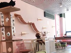 -喵匠猫主题咖啡(凯德和平广场店)