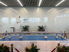 -港珠澳大桥(珠海段)