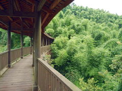 -沐川竹海旅游景区