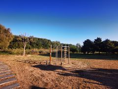 -大兴滨河森林公园