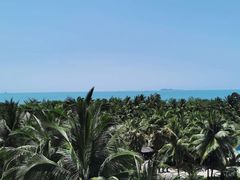 -三亚湾海居铂尔曼度假酒店