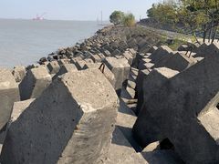-上海滨江森林公园