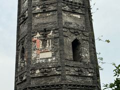 -上海佘山国家森林公园天马山园