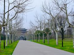 -东园小馆·早茶·淮扬小炒(宋夹城店)