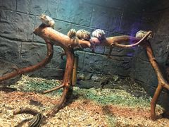 -皇家极地海洋世界-售票处