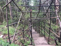 -五营红松林海景区