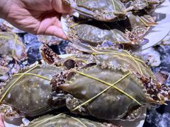 -聚盛源蒸汽海鲜火锅烤肉自助(巨川金海岸购物广场店)