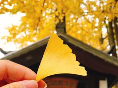 -苏州市立医院本部母子保健中心