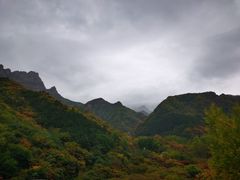 -云岫谷游猎自然风景区