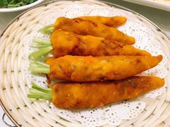 -丁老爷子苏香圆