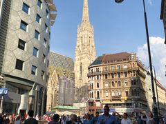 -斯蒂芬主教座堂(Stephansdom)