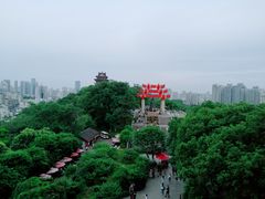 -黄鹤楼公园(黄鹤楼)