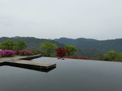 -江南天池