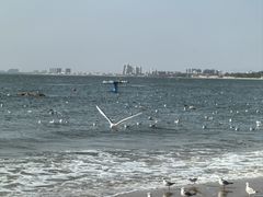 -老虎石海上公园