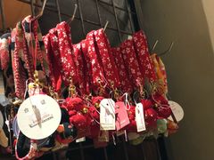 -猫咪博物馆(顶澳仔猫街店)