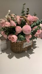 -苑苑vbeauty科技美容SPA